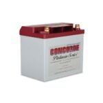CONCORDE RG-25XC 12 V 24 Ah AGM General Aviation Starting/Main VRLA Aircraft Battery