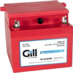 Gill 7243-14 LT Sealed Lead Acid Battery